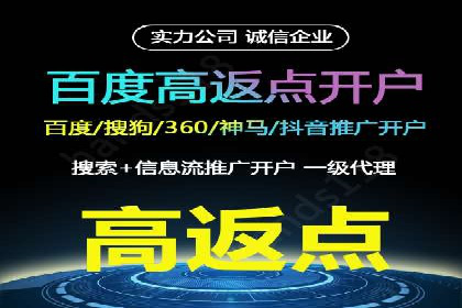 网络推广与竞价策略实战案例